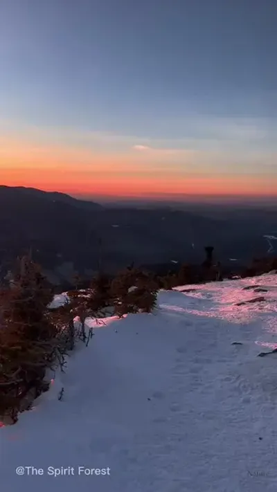 #nature #relaxingvideos #goldenhour #naturecore #mountainlife 