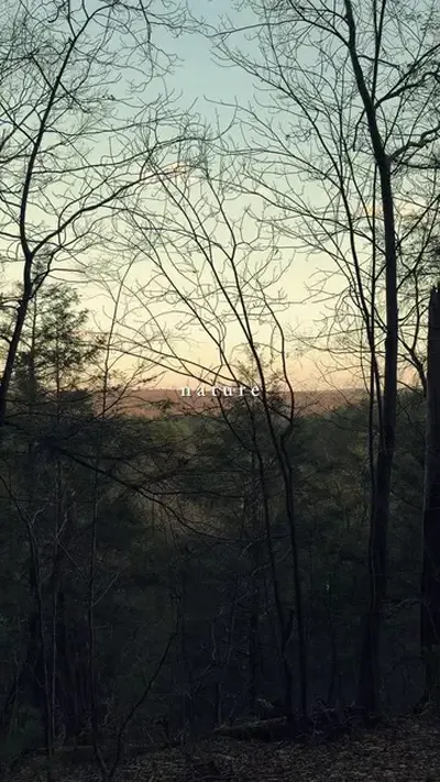 #CapCut #nature #naturevibes 