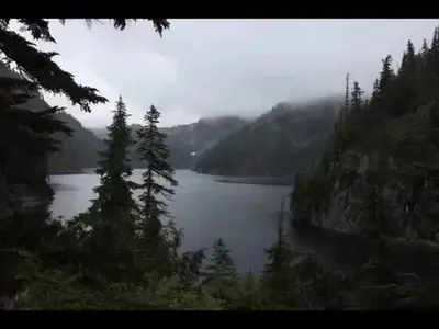 #nature #nostalgia #reallove #fypシ 