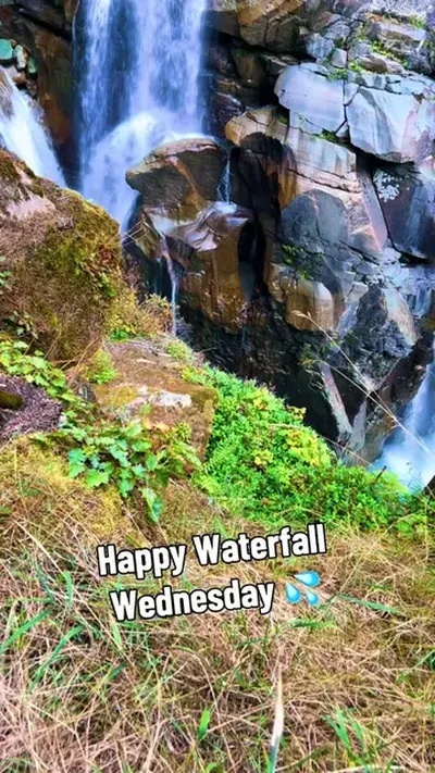 Happy Waterfall Wednesday 💦 #waterfall #Hiking #nature #pnw #genx 