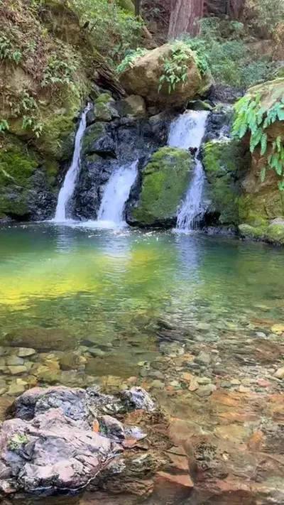Nature is therapy 🍃  #fyp #foryou #cali #Hiking #nature 