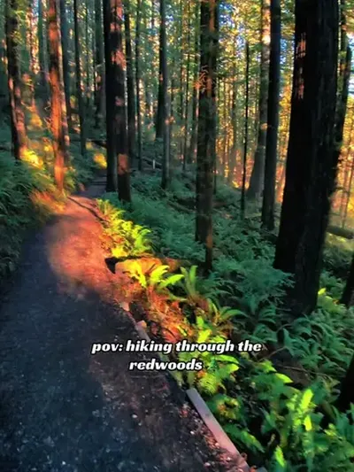 #californiaadventure #Hiking #nature #redwoodforest #fyp 
