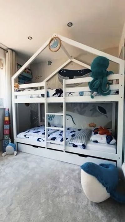 We had a Safari setup sent in earlier this week, now for a trip to this aquarium installation!
What 