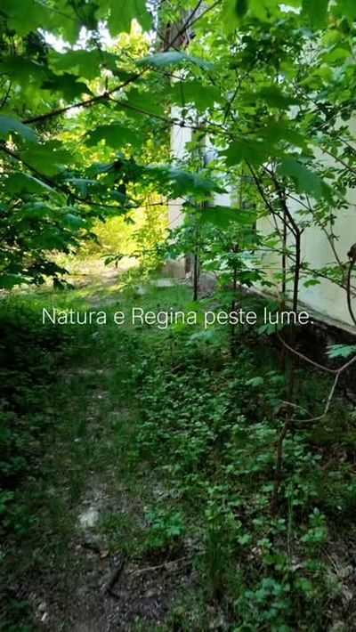 #nature