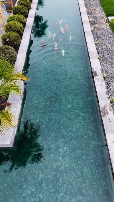 Chihiros WRGB II Slim 60 - Fitzs Fish Ponds