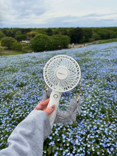 Francfranc フランフラン バルス HS 5段 ハイチェスト Francfranc フランフラン バルス HS 5段 ハイチェスト 公式