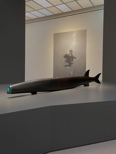Lygia Clark. Retrospective – KUNSTHAUS